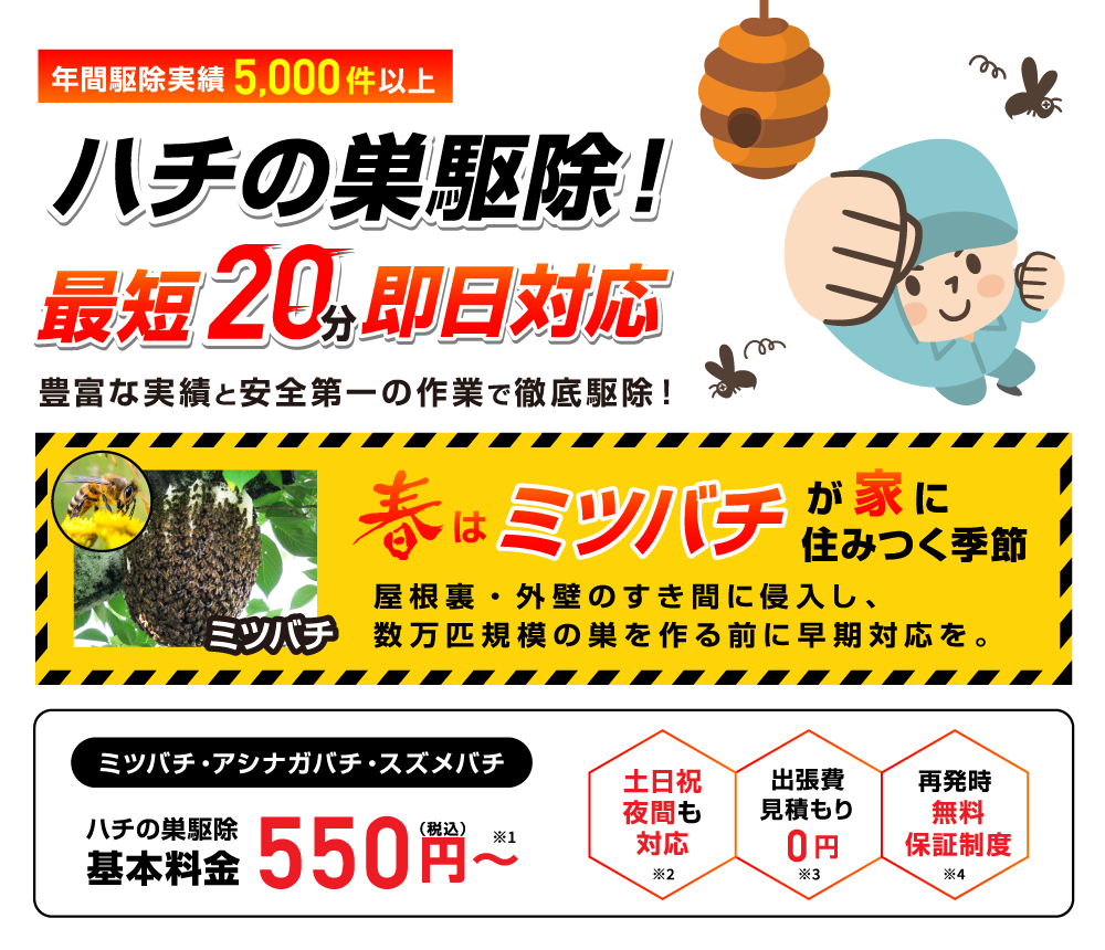 ミツバチ駆除｜TOP 