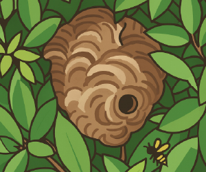 植木の中の巣