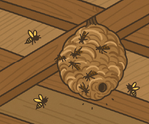 屋根裏の巣