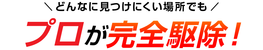 どんなに見つけにくい場所でもプロが完全駆除！