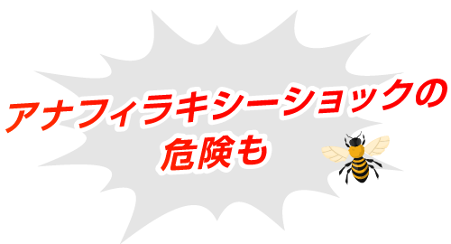 アナフィラキシーショックの危険も